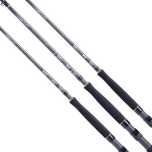 Icon Boat Fishing Rods