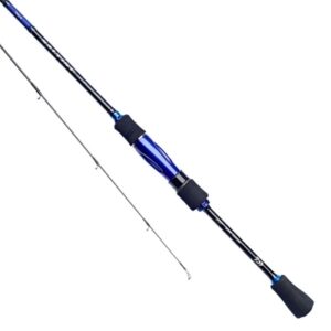Daiwa Saltist Fishing Rod