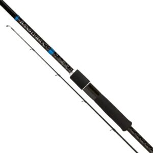 Shimano Bassterra Sea Bass Fishing Rod