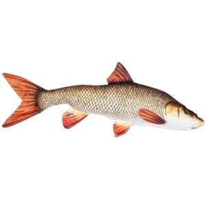 Gaby Fish Pillows The Barbel